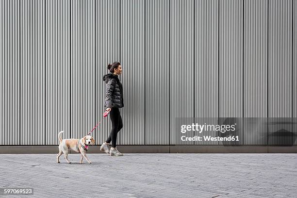 woman and her dog walking on pavement in front of a metal facade - soltanto un animale foto e immagini stock