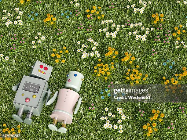 stockillustraties, clipart, cartoons en iconen met male and female robot lying in flower meadow, 3d rendering - mannelijke gelijkenis