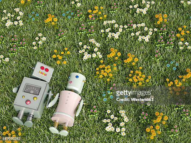 ilustrações de stock, clip art, desenhos animados e ícones de male and female robot lying in flower meadow, 3d rendering - deitado de costas