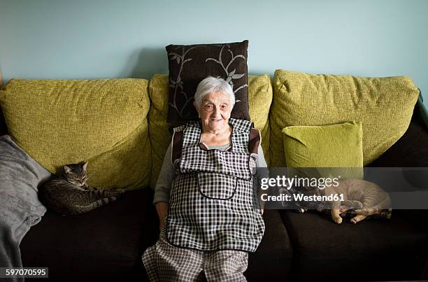 portrait of senior woman sitting on couch at home with her two sleeping cats - old woman cat stock-fotos und bilder