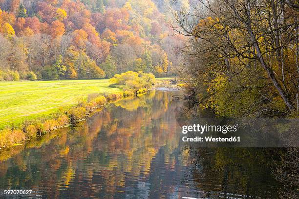 germany, baden wuerttemberg, upper danube nature park, view of upper danube valley in autumn - donau vallei stockfoto's en -beelden