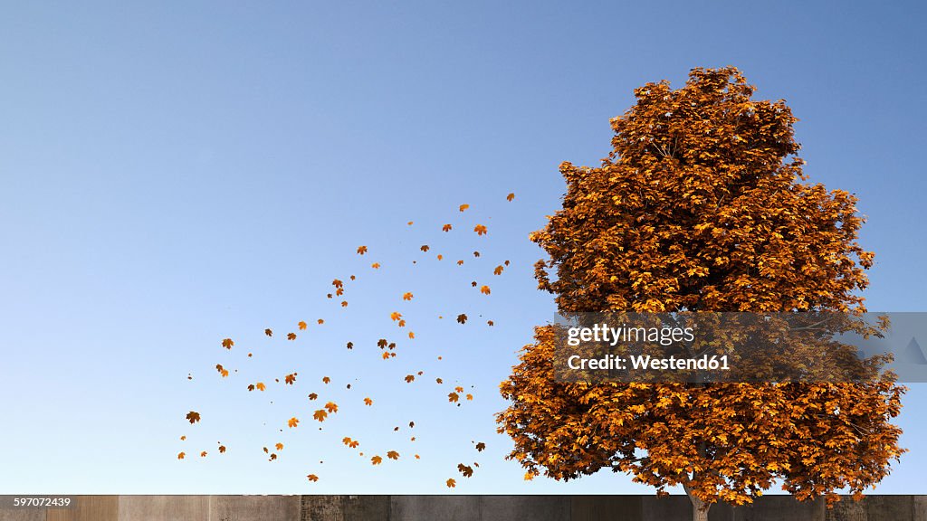 3D Rendering, tree and falling leaves in autumn