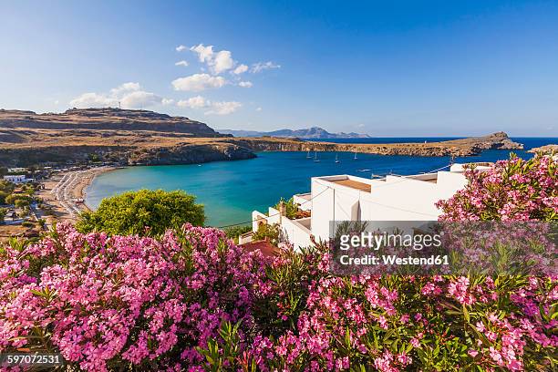 greece, rhodes, lindos, view of bay. oleander in the foreground - rhodes,_new_south_wales stock pictures, royalty-free photos & images