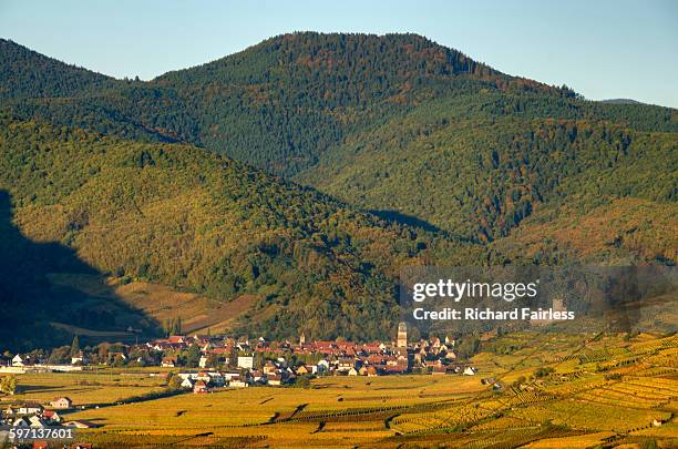 kaysersberg, alsace - foothills - fotografias e filmes do acervo