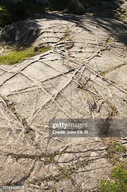Striations Example 226 Striations Stock Photos, High-Res Pictures, and Images - Getty Images