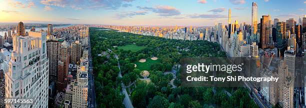 central park, crown jewel of new york - central park view stock pictures, royalty-free photos & images