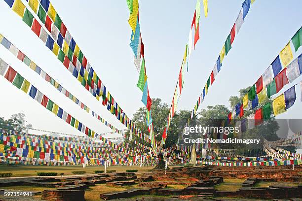 birthplace of the buddha - buddhism at lumbini stock pictures, royalty-free photos & images