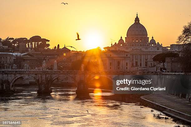 sunset view of basilica st. peter and river tiber - roma acqua foto e immagini stock