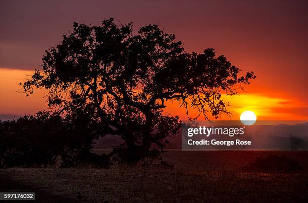 Smoke from the 33,000-acre Rey Fire sends smoke billowing into the air and creating colorful sunsets on August 21 in Santa Ynez, California. Because...