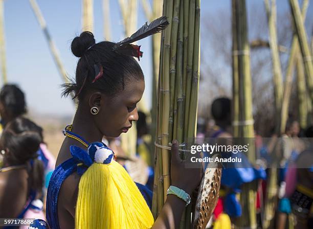 The people of Swaziland participate the Swazi's cultural ceremony, Umhlanga Festival at Ludzidzini Royal Village in Swaziland, Lobamba, South Africa...