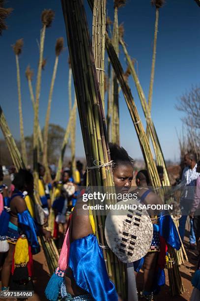 Maidens carry and lay reeds as they look on during the annual royal Reed Dance at the Ludzidzini Royal palace on August 28, 2016 in Lobamba,...