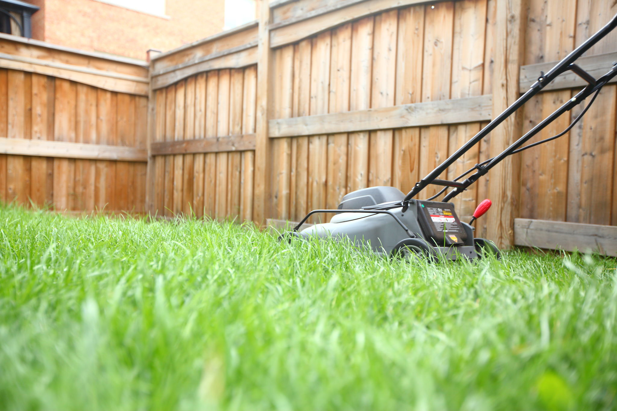 lawn care Ontario