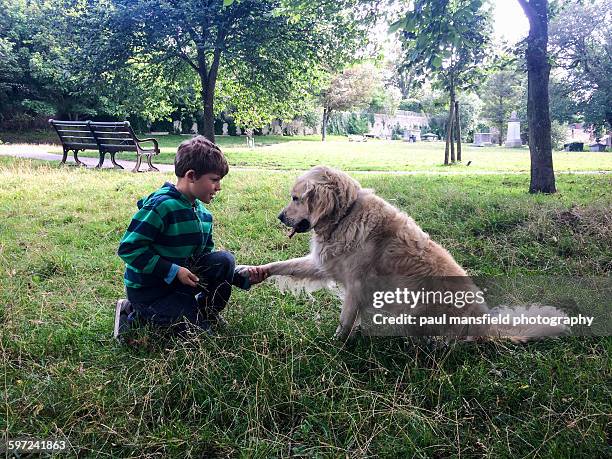 Boy shaking dogs paw