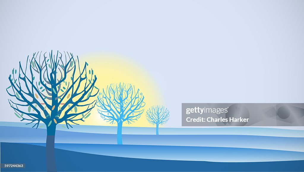 Sunrise Landscape in Blue with Trees
