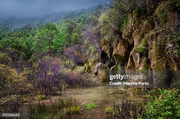Cuenca Rivers 90 River Cuervo Stock Photos, High-Res Pictures, and Images - Getty Images