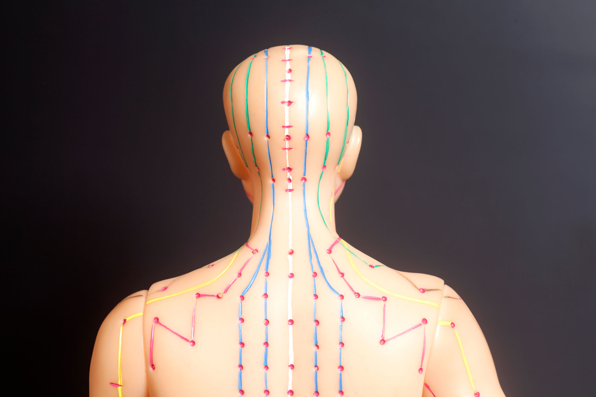Energy Meridians