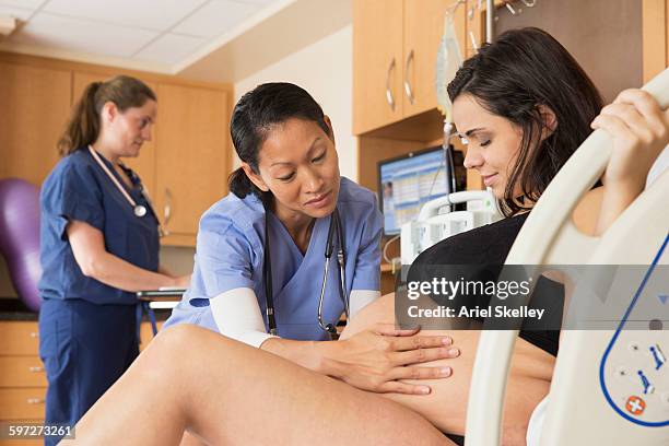 doctor examining belly of pregnant woman - employment and labour 個照片及圖片檔