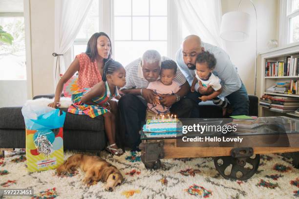 african american family celebrating birthday - multi generational family with pet stock pictures, royalty-free photos & images