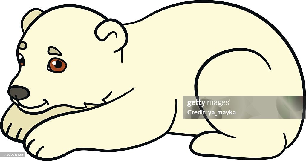 Animales De Dibujos Animados Pequeño Bebé Lindo Oso Polar Sonríe  Ilustración de stock - Getty Images
