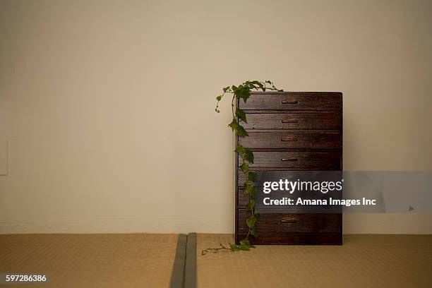 chest of drawers - 引き出し ストックフォトと画像