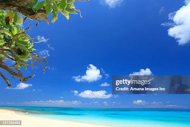 blue sky over beach - okinawa blue sky beach landscape stockfoto's en -beelden