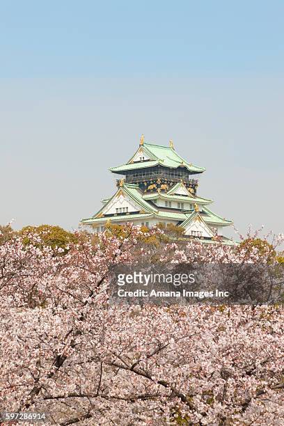 osaka castle and cherry blossom - osaka prefecture stock-fotos und bilder