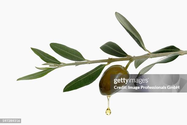 Olive Oil Droplet Photos And Premium High Res Pictures Getty Images olive-oil-droplet-photos-and-premium-high-res-pictures-getty-images