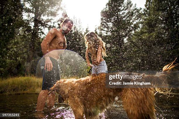 dog splashing young couple in river, lake tahoe, nevada, usa - denim shorts fotografías e imágenes de stock