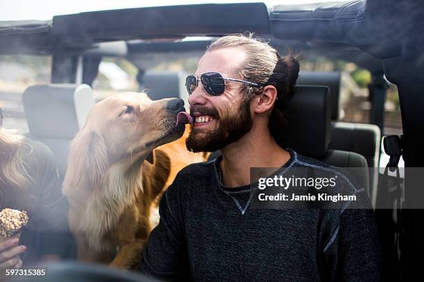 dog licking young mans bearded face in jeep - gedeelde mobiliteit stockfoto's en -beelden