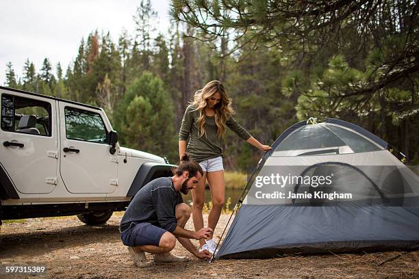 young couple putting up tent in forest, lake tahoe, nevada, usa - concentration camp photos photos et images de collection