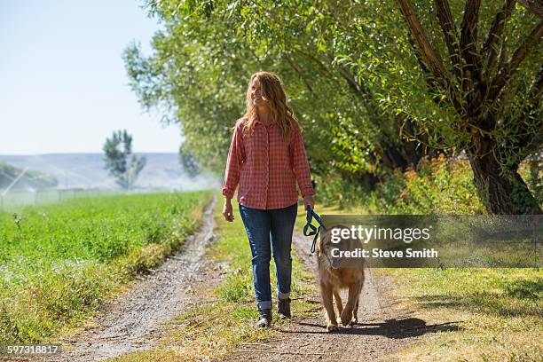 caucasian woman walking dog on dirt path - woman on walking in countryside stock-fotos und bilder