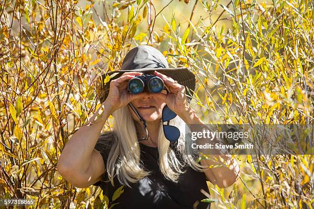 caucasian woman using binoculars - bird watching stock pictures, royalty-free photos & images