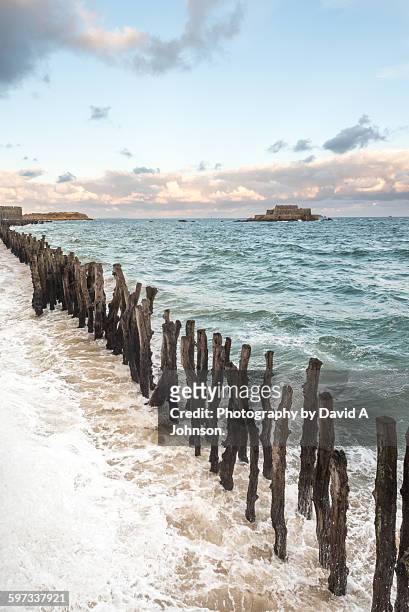 sea defences at st malo, france. - groyne stock pictures, royalty-free photos & images