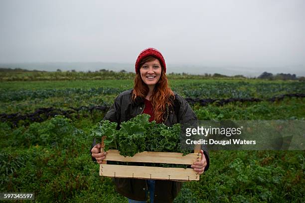 portrait of woman holding box of kale on farm. - farm woman bildbanksfoton och bilder