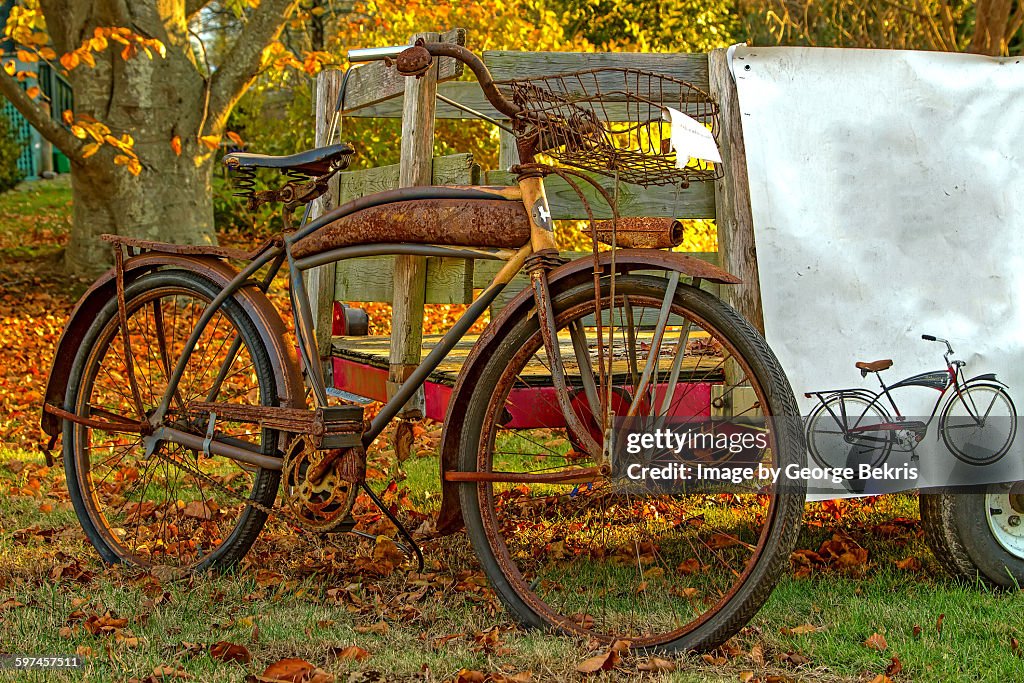 Rusty Vintage Bicycle