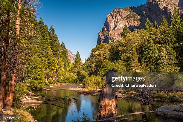 kings canyon national park - kings canyon nationalpark stock-fotos und bilder