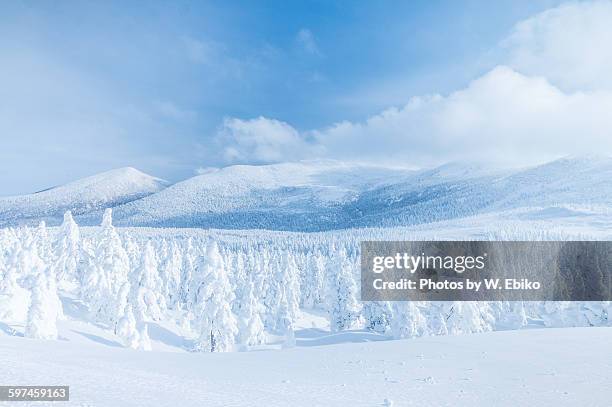 hard rime, zao, japan - miyagi prefecture stock-fotos und bilder