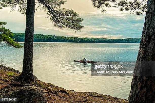 late day paddle in wilderness setting - murray mccomb stock pictures, royalty-free photos & images
