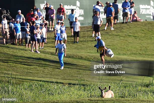 Deer runs ahead as Chang Tsung Pan of Taiwan walks up the fairway on the 18th hole during the final round of the WinCo Foods Portland Open at Pumpkin...