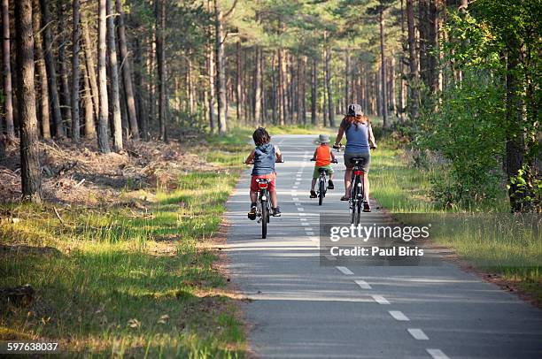 family cycling in countryside, denmark - denmark cycling stock-fotos und bilder