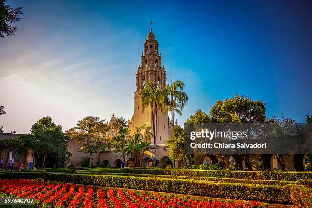 balboa park - balboa park stock pictures, royalty-free photos & images