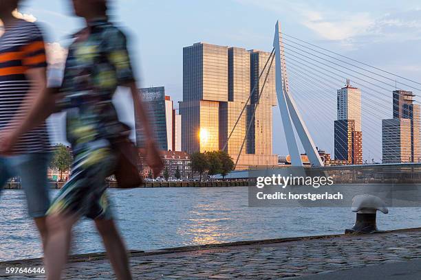 rotterdam skyline, netherlands - rotterdam skyline stock pictures, royalty-free photos & images