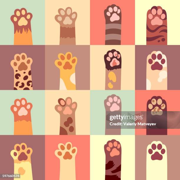 cats paw vector flat icon set - claw stock illustrations