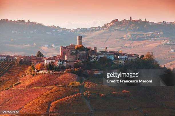 elevated view of vineyards and hill town, langhe, piedmont italy - piemonte stockfoto's en -beelden