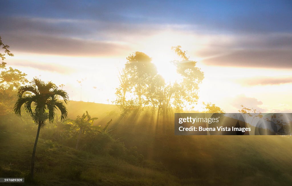 Sunrise in the mist in a tropical landscape