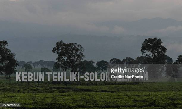 Entry of Kebun Teh Liki Solok Selatan park in West Sumatra, Indonesia, on 29 August 2016. The latest official estimate for January 2014 shows a...