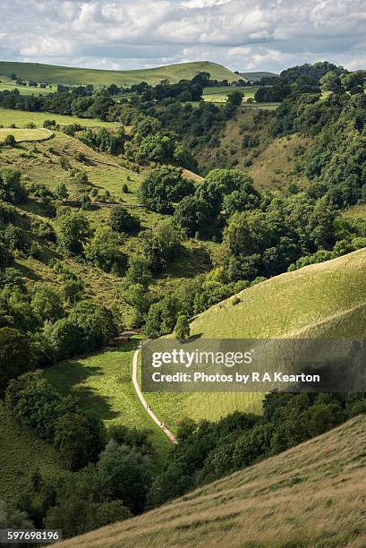 dovedale in the white peak, england - dovedale stockfoto's en -beelden