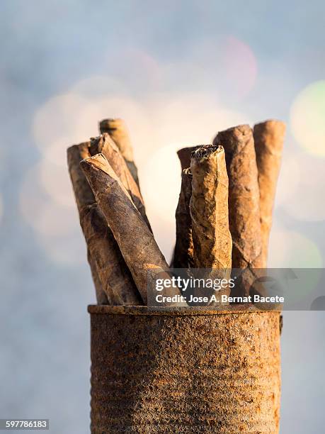 pure cigars inside a boat of rusty metal - cheroot ストックフォトと画像