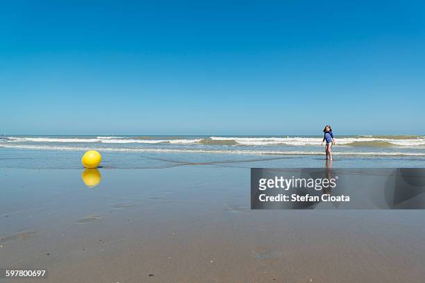 alone on the beach - beach of ostende foto e immagini stock