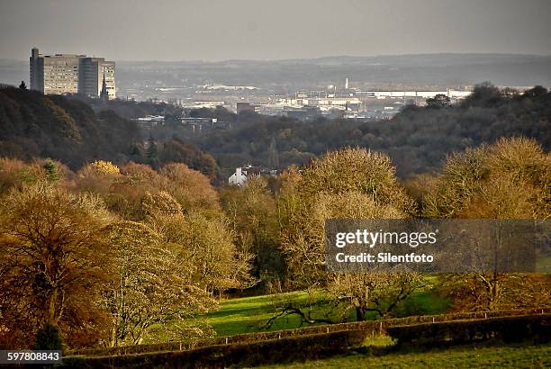 sheffield from the edge of town - sheffield cityscape stock pictures, royalty-free photos & images